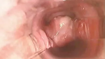 ভগ তার দয়িত fucked এবং টাক pubis উপর নত বাংলা চুদাচুদি xxxx