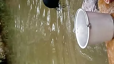 সৎমা তার সৎ পুত্রকে বাংলাচুদাচুদি দাও প্লেনে চড়ে এক চমত্কার স্টুয়ার্ডেসের সাথে যৌনতা দিয়েছেন